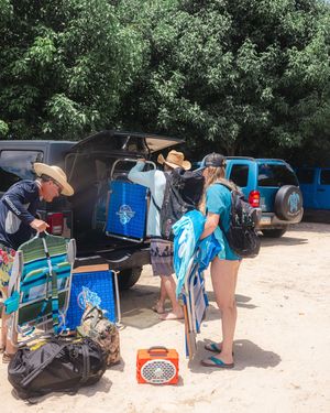 Image post by @turtleboxaudio on Instagram