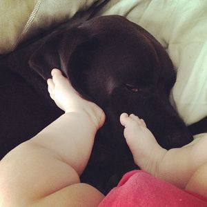 Image post by @passthewipesandvino on Instagram