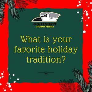 Image post by @gopetrelsmbb on Instagram