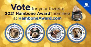 Image post by @company/nationwidepet on LinkedIn