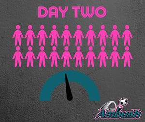 Image post by @stlouisambush on Instagram