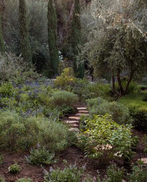 Image post by @ojaivalleyinn on Instagram