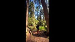Video post by @westjet on YouTube