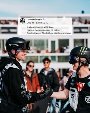 Image post by @thesnowleague on Instagram