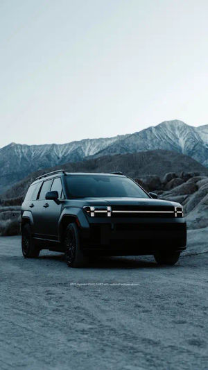 Image post by @hyundaiusa on TikTok