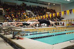 Image post by @CycloneSD on Twitter