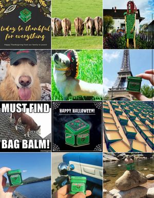Image post by @originalbagbalm on Instagram