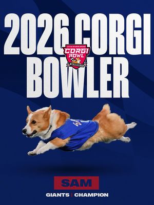 Image post by @littlestumpsracing on Instagram