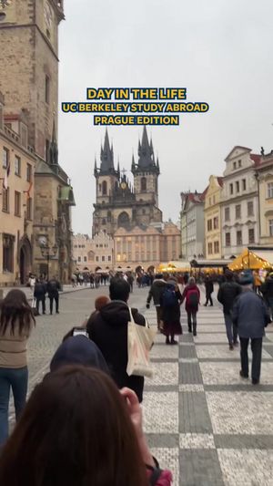 Video post by @ucberkeley on TikTok