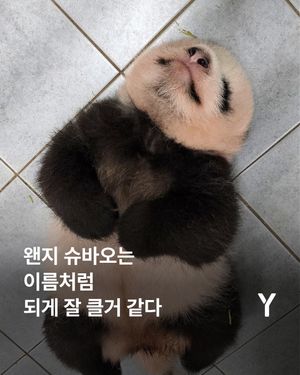 Image post by @ymagazine_official on Instagram