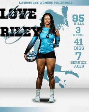 Image post by @bluebearathletics on Instagram