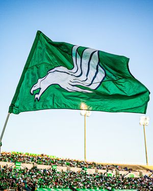 Image post by @meangreenfb on Instagram