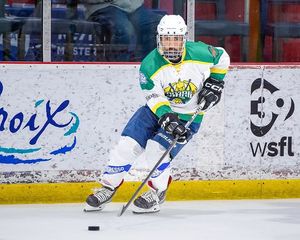 Image post by @amerigolhockey on Instagram