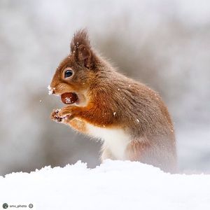 Image post by @rspb on Instagram