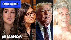 Video post by @msnbc on YouTube