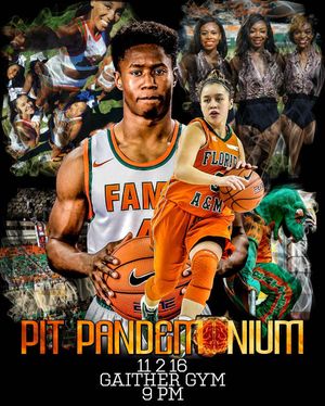 Image post by @famuathletics on Instagram