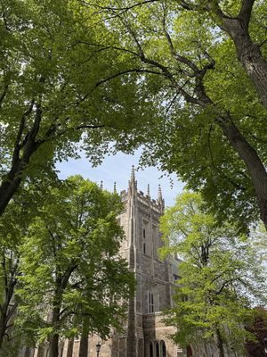 Image post by @bostoncollege on Instagram