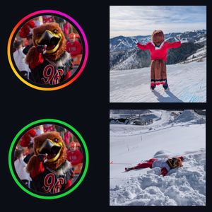 Image post by @utahswoop on Instagram
