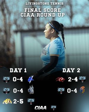 Image post by @bluebearathletics on Instagram