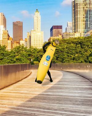 Image post by @chiquitabanana on Instagram