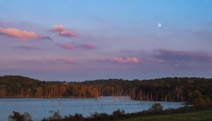 Image post by @connoronealdesign on Instagram