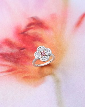 Image post by @boodles on Instagram
