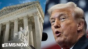 Video post by @msnbc on YouTube