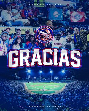 Image post by @tiburonesbbc on Instagram
