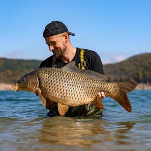 Image post by @brothercarp on Instagram