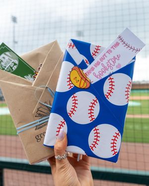Image post by @trashpandasbaseball on Instagram