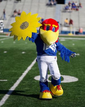 Image post by @kumascots on Instagram