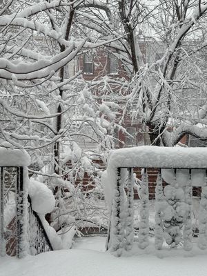 Image post by @stevensharpejr on Instagram