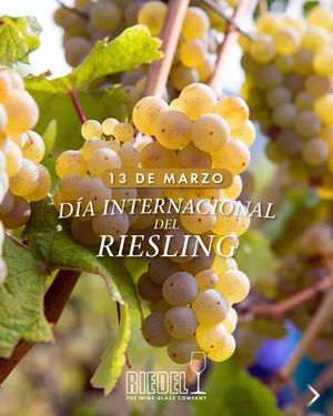 Image post by @riedelpartner_vnzla on Instagram