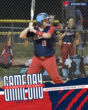 Image post by @hpasoftball on Instagram