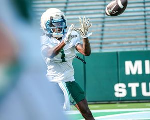 Image post by @greenwavefb on Instagram