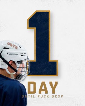 Image post by @gsuhockey on Instagram