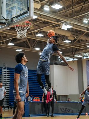 Image post by @peacocksmbb on Instagram