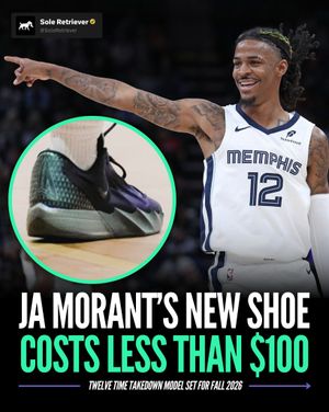 Image post by @soleretriever on Instagram