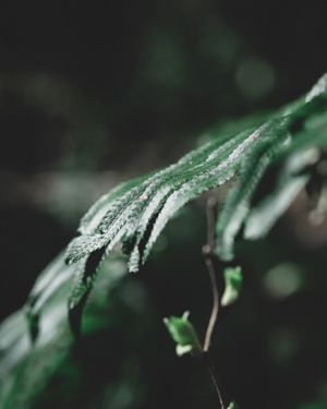 Image post by @jfriedrich on Instagram