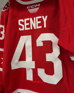 Image post by @rockfordicehogs on Instagram