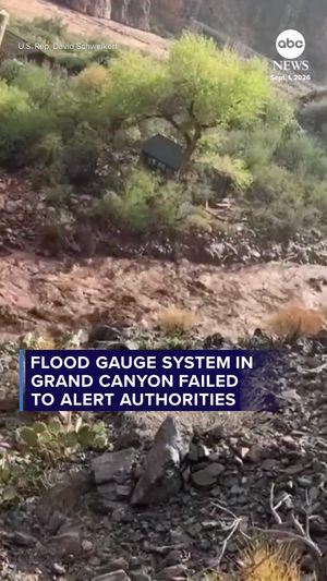 Video post by @abcnewslive on TikTok