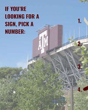 Image post by @tamu on Instagram