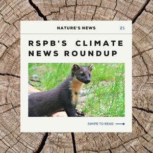 Image post by @rspb on Instagram
