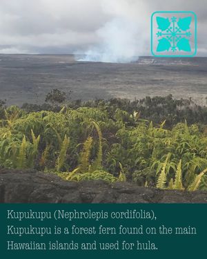Image post by @kapualaniokekukui on Instagram