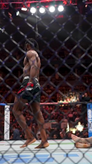 Video post by @ufc on TikTok