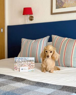 Image post by @bestwestern on Instagram