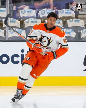 Image post by @anaheimducks on Instagram