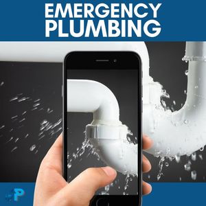 Image post by @plumbingjax on Facebook