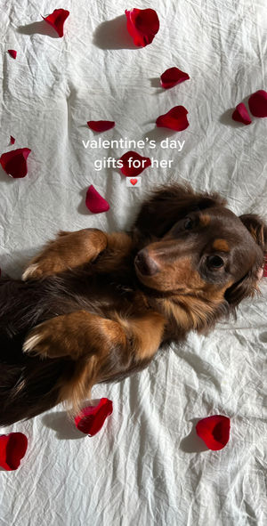 Video post by @catchingupwithcaitlin on TikTok