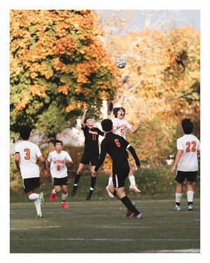 Image post by @alexjlucier on Instagram